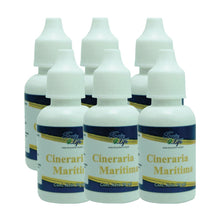 Load image into Gallery viewer, Cineraria Marítimina Eye-Drops pack 5 months and 1 free
